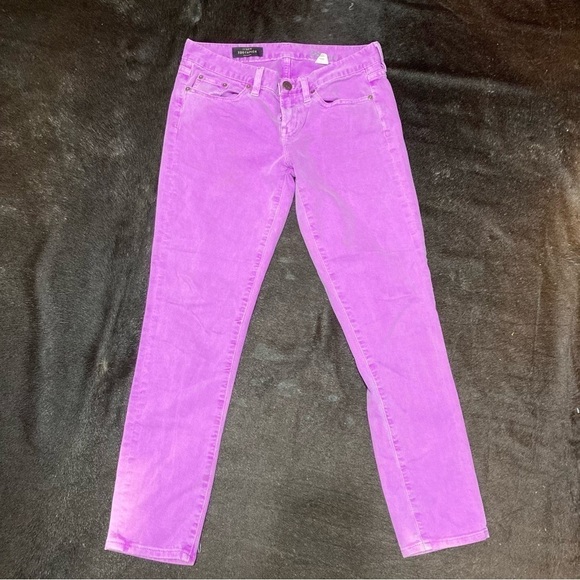J. Crew Denim - J Crew “ToothPick” Ankle Pants worn distressed and stained look size 28 GuC